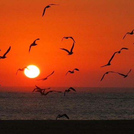 Serena Beach 3 Nazare Luaran gambar